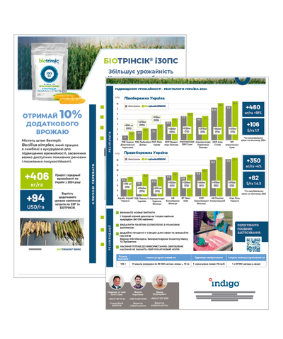 30 FP brochure thumbnail